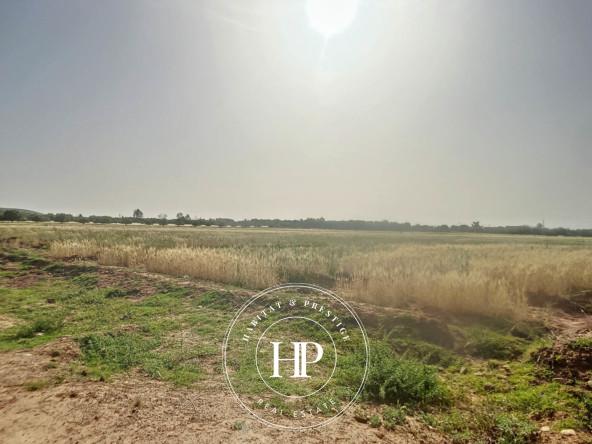 Vente-immobilière-Terrain-90Dhs-M²-route-ait-ourir-10