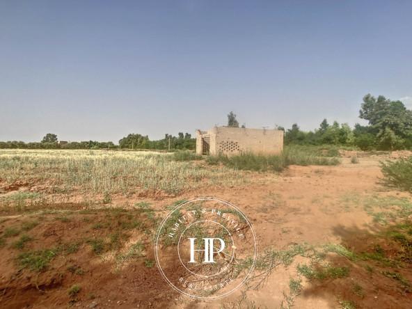 Vente-immobilière-Terrain-90Dhs-M²-route-ait-ourir-11