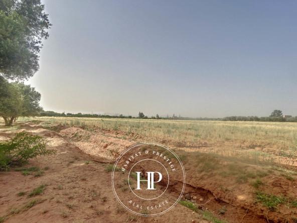 Vente-immobilière-Terrain-90Dhs-M²-route-ait-ourir-12