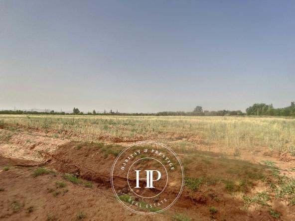 Vente-immobilière-Terrain-90Dhs-M²-route-ait-ourir-13