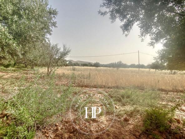 Vente-immobilière-Terrain-90Dhs-M²-route-ait-ourir-14