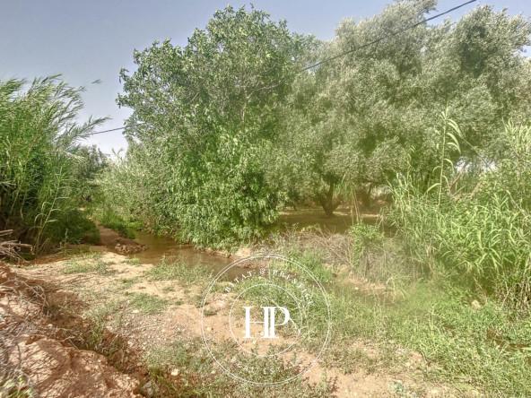Vente-immobilière-Terrain-90Dhs-M²-route-ait-ourir-4