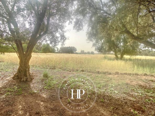 Vente-immobilière-Terrain-90Dhs-M²-route-ait-ourir-5