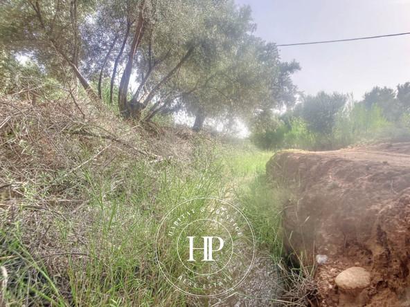 Vente-immobilière-Terrain-90Dhs-M²-route-ait-ourir-7