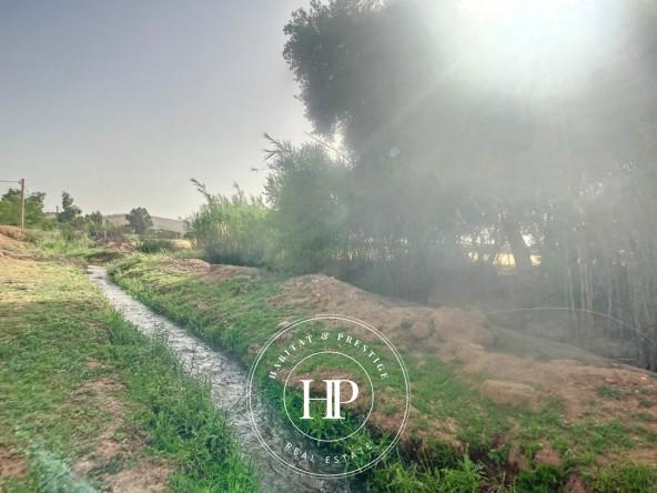 Vente-immobilière-Terrain-90Dhs-M²-route-ait-ourir-8