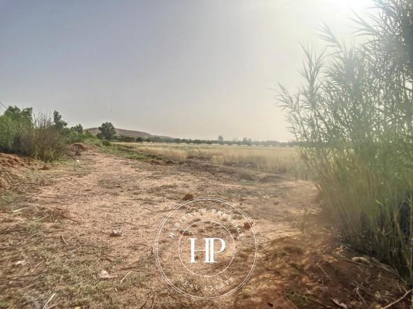 Vente-immobilière-Terrain-90Dhs-M²-route-ait-ourir-9