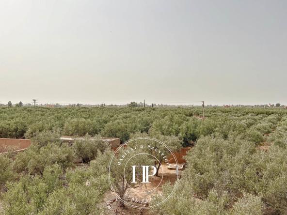 Vente-immobilière-Villa-avec-grand-terrain-Gros-potentiell-Marrakech-4